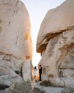 Joshua Tree Elopement