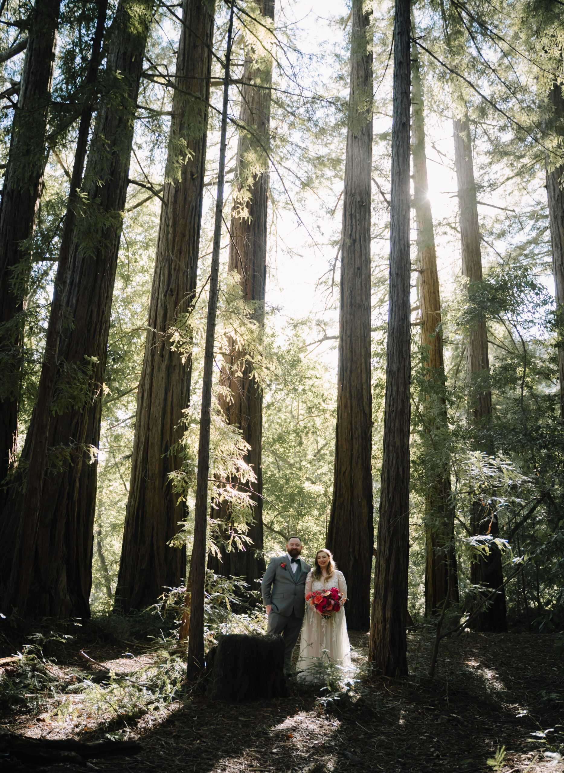 Big Sur Elopement Redwood Portraits