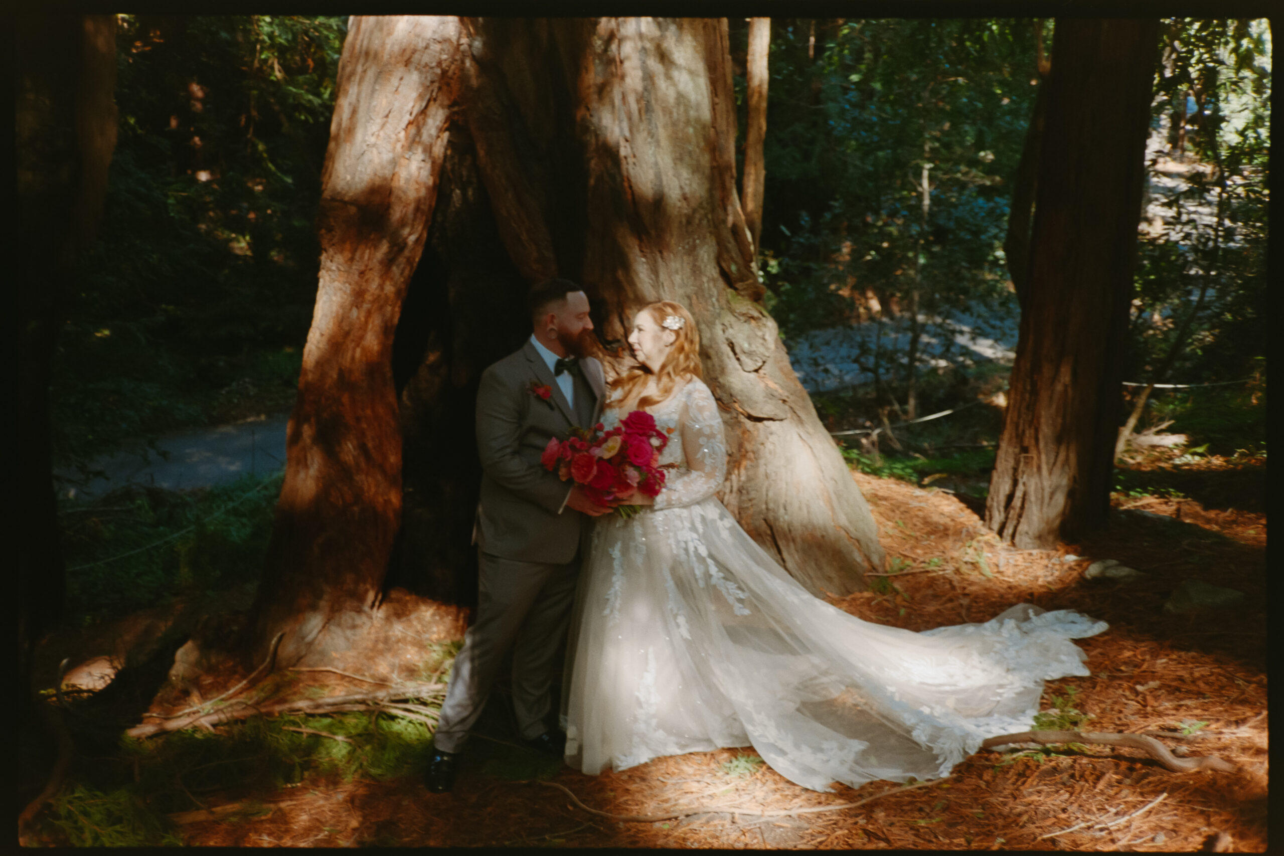 Big Sur Elopement Film Photos